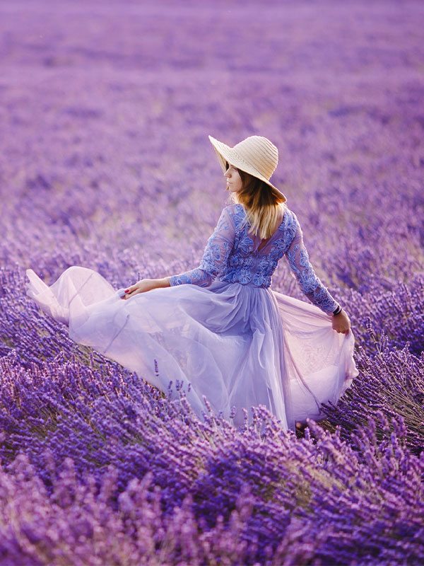 Heart Pulse Program Lavender Fields